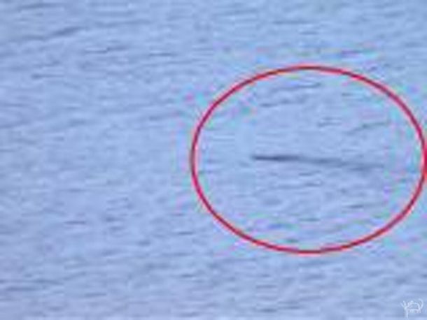Aseguran que murió el monstruo del lago Ness tras décadas de misterio
