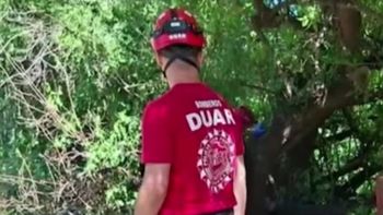 horror en cordoba: su perro aparecio con un hueso y sospechan que se trata de restos humanos horror en cordoba: su perro aparecio con un hueso y sospechan que se trata de restos humanos