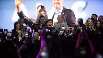 Milei reveló usar su Gabinete para la campaña: Se pintó violeta el bastión amarillo