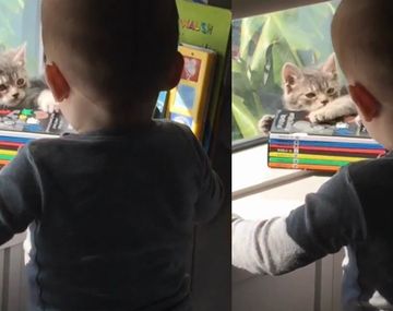 El tierno video de Lorenzo Tinelli y su mascota es furor en la web