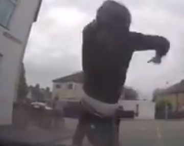 Caranchos en plena acción