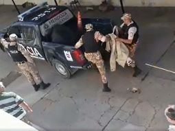 Matan a un puma con sedantes