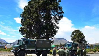 Gentileza: Diario Río negro Gentileza: Diario Río negro
