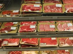 el gobierno aclaro que autorizara la importacion de carne si hay escasez el gobierno aclaro que autorizara la importacion de carne si hay escasez