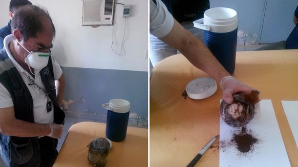 #CaféVeloz: Detectaron tres paquetes de cocaína ocultos en termos
