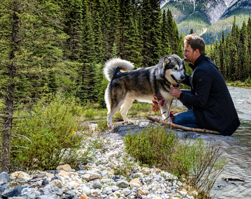 El drama canadiense emotivo, de acción y supervivencia que atrapa por su historia