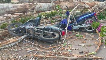 mendoza: un motociclista murio aplastado por un arbol que fue derribado por el viento zonda