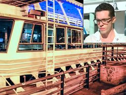 Fiesta y descontrol en un barco: Estaba vomitando y los amigos dicen que ya se había tirado