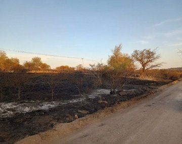 Murió un chico de 17 que intentaba apagar el incendio