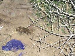 Mujer-asesinada4 Mujer-asesinada4