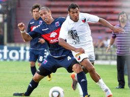 colon tigre
