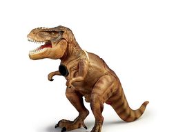 arqueologico: se masturbo con un dinosaurio de juguete, se le atoro y tuvo que ir al medico arqueologico: se masturbo con un dinosaurio de juguete, se le atoro y tuvo que ir al medico