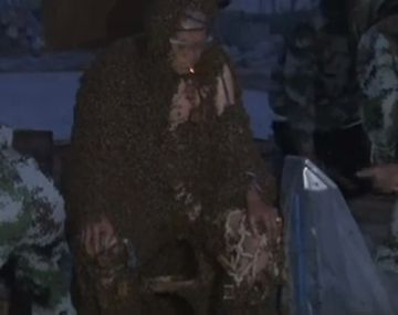 Soportó más de un millón de abejas