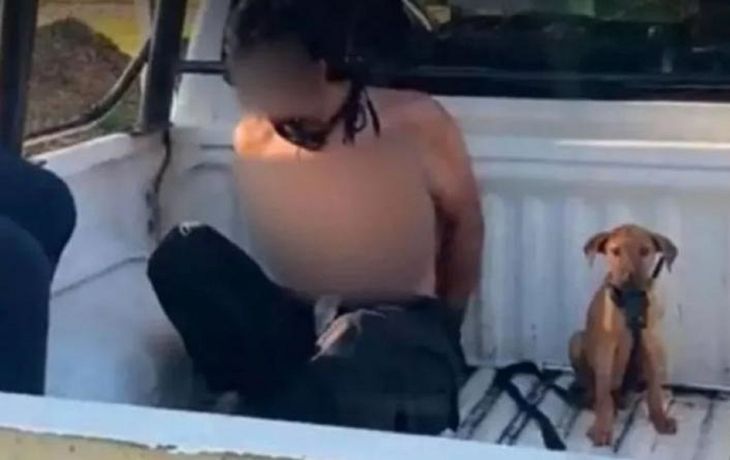 Alta fidelidad: lo detuvo la Policía y su perro lo acompañó en el patrullero