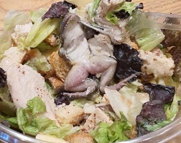 Fueron a cenar comida vegetariana y encontraron una rana en su ensalada