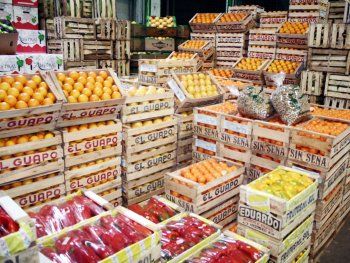 Papa a $100 el kilo, tomate $120 y morrón $90: dónde conseguir