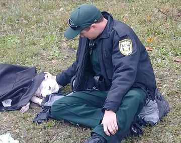 La imagen de un policía que abrigó a una perra herida que dio vuelta al mundo