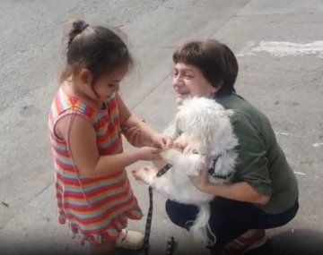 Video: le robaron el auto con el perro adentro y pudo recuperarlo