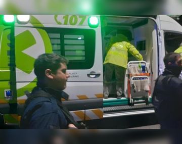 VIDEO: Dramático rescate de un chico que se ahogaba en el lago del Bosque de La Plata