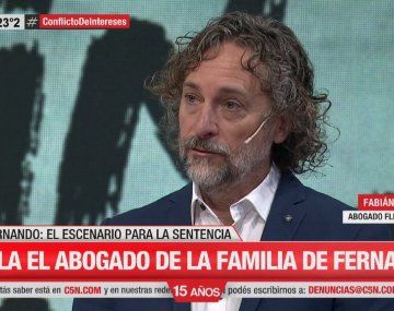 Améndola sobre el crimen de Fernando: Si no hay perpetua