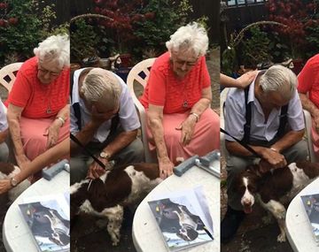 Le regaló un perro a su abuelo y mirá su reacción 