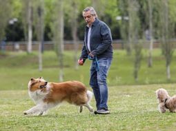 Las perlitas de la elección: el paseo de Dylan, el desayuno light de Larreta y el Loro de Kicillof