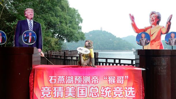 El mono le da la victoria a Trump