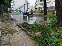 Un temporal azotó Bariloche. Gentileza El Cordillerano