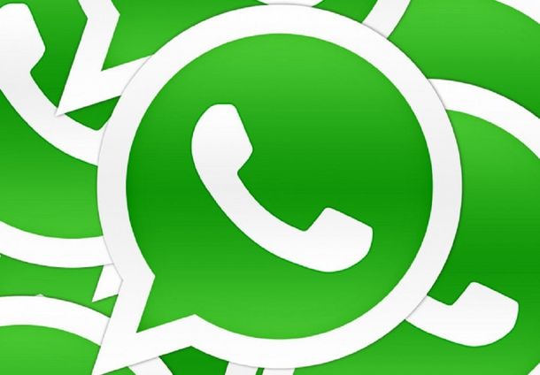 Se supo: ¿Cómo se trabaja dentro de WhatsApp?