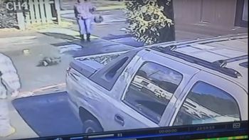 una mujer enfrenta cargos por maltrato animal despues que se viralizo un video una mujer enfrenta cargos por maltrato animal despues que se viralizo un video