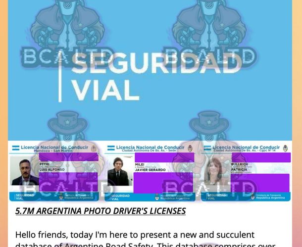 Hackeo de licencias de conducir: cuánta plata piden por el carnet de Javier Milei y otros famosos