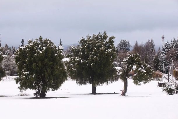 La primavera arrancó con una intensa nevada en Bariloche. (foto: Matías Garay, El Cordillerano). La primavera arrancó con una intensa nevada en Bariloche. (foto: Matías Garay, El Cordillerano).