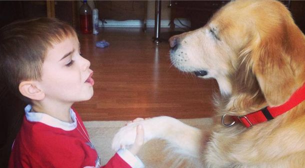 Un perro ciego se convirtió en la mejor de las terapias: conocé su historia