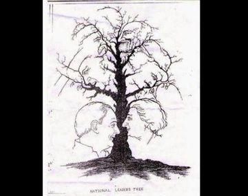 Nuevo reto: ¿cuántas caras puedes ver en este árbol?