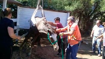 Gentileza portal La Brújula 24. Gentileza portal La Brújula 24.