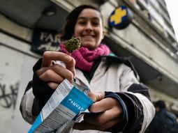 las ventas de cannabis en el ano ya igualaron los volumenes de todo el 2022 las ventas de cannabis en el ano ya igualaron los volumenes de todo el 2022