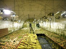 Túnel en Roma Túnel en Roma