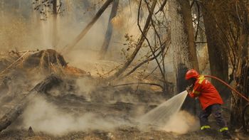 la lluvia trajo alivio en la zona de los incendios la lluvia trajo alivio en la zona de los incendios