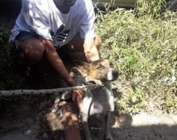 Final feliz: así está Sarmy