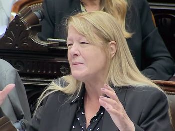 Gorila, traidora: así abuchearon los jubilados a Margarita Stolbizer a la salida del Congreso