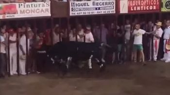 un toro mato a un espectador en un encierro un toro mato a un espectador en un encierro
