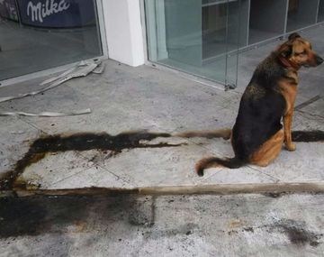 Vive en la calle y le quemaron el colchón