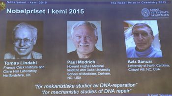 el nobel de quimica 2015 es para un sueco, un estadounidense y un turco el nobel de quimica 2015 es para un sueco, un estadounidense y un turco
