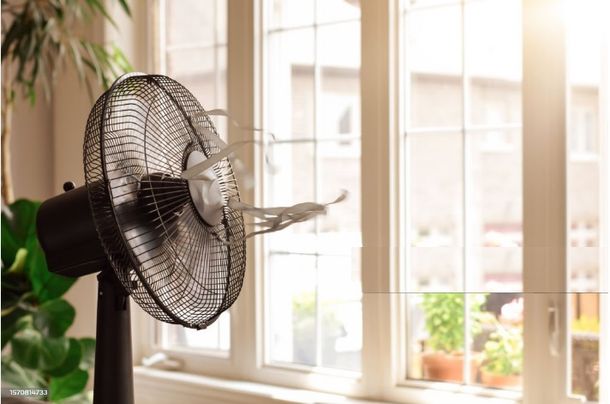 Estos son los mejores ventiladores del mercado en 2025, según la Profeco