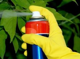 Prohibieron la venta y el uso de siete insecticidas en todo el país