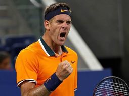 Del Potro se quedó con el primer set frente a Nadal