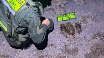 efectivos de gendarmeria evitaron el contrabando de cuarzo y animales en peligro de extincion efectivos de gendarmeria evitaron el contrabando de cuarzo y animales en peligro de extincion