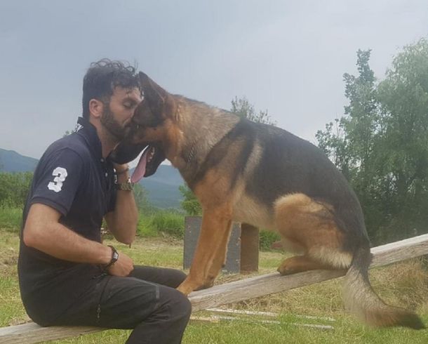 Envenenaron al perro héroe que rescató varias personas en el terremoto de Italia