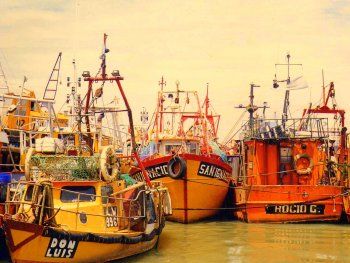 Chubut: denuncian evasión impositiva en la pesca por más de $4.500 millones