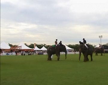 VIDEO: Así juegan al polo con elefantes en Tailandia